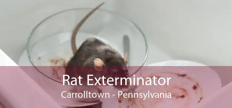 Rat Exterminator Carrolltown - Pennsylvania