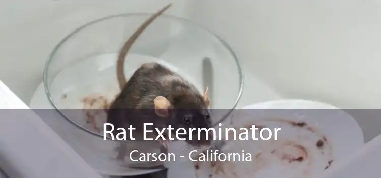 Rat Exterminator Carson - California