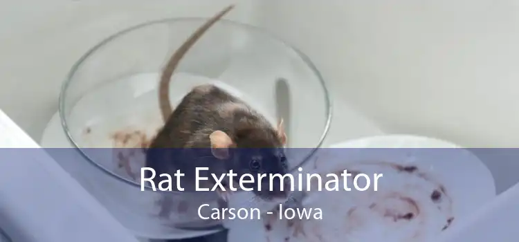Rat Exterminator Carson - Iowa