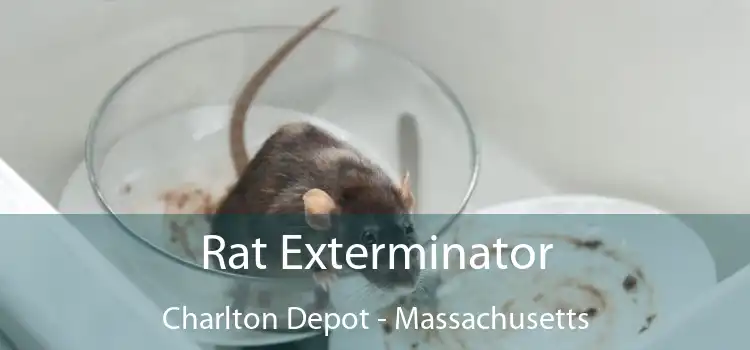 Rat Exterminator Charlton Depot - Massachusetts