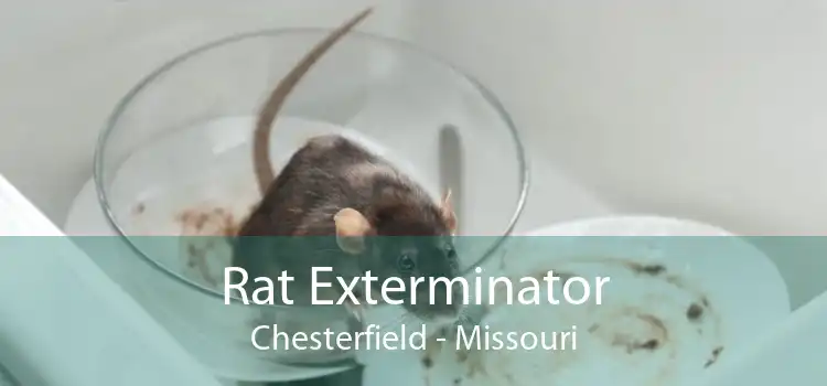 Rat Exterminator Chesterfield - Missouri