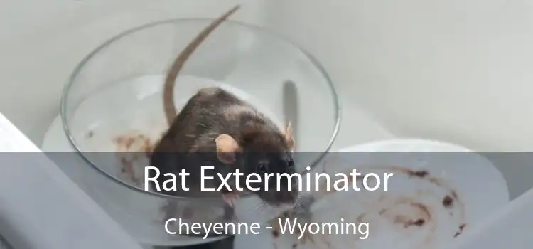 Rat Exterminator Cheyenne - Wyoming