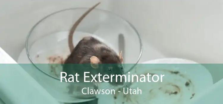 Rat Exterminator Clawson - Utah