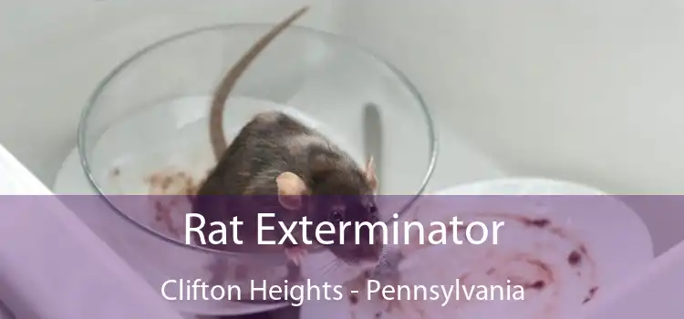 Rat Exterminator Clifton Heights - Pennsylvania