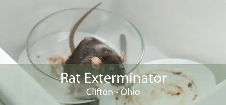 Rat Exterminator Clifton - Ohio