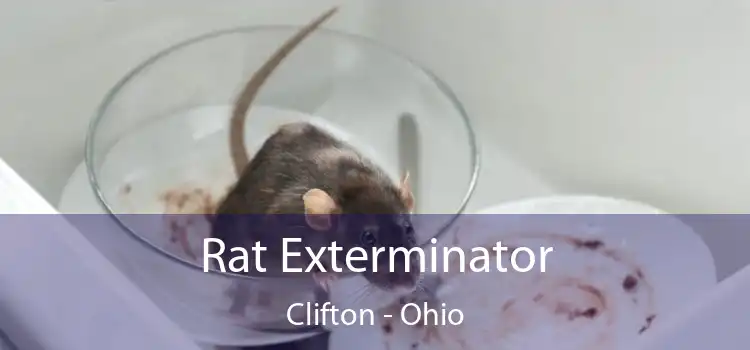 Rat Exterminator Clifton - Ohio