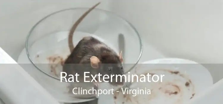 Rat Exterminator Clinchport - Virginia