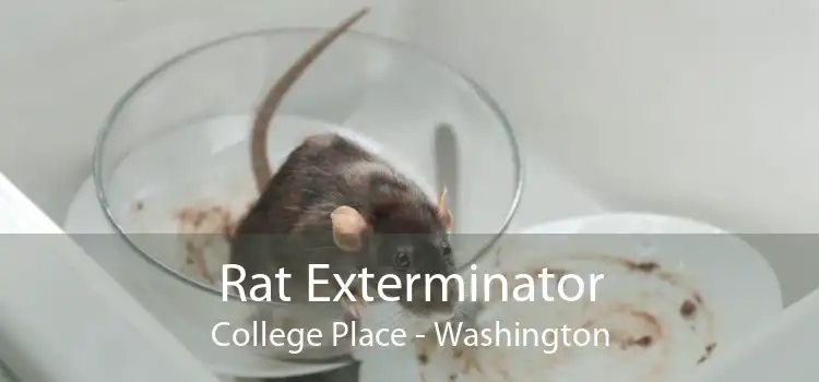 Rat Exterminator College Place - Washington