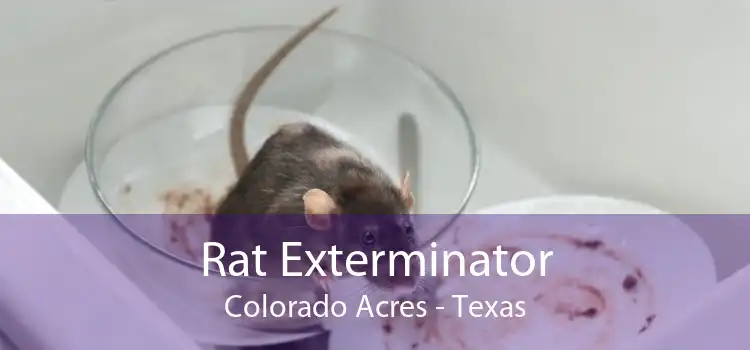 Rat Exterminator Colorado Acres - Texas