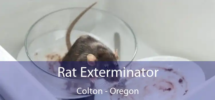 Rat Exterminator Colton - Oregon