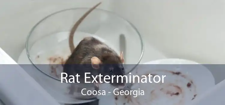 Rat Exterminator Coosa - Georgia