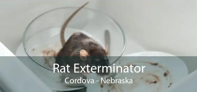 Rat Exterminator Cordova - Nebraska