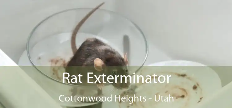 Rat Exterminator Cottonwood Heights - Utah