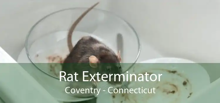 Rat Exterminator Coventry - Connecticut