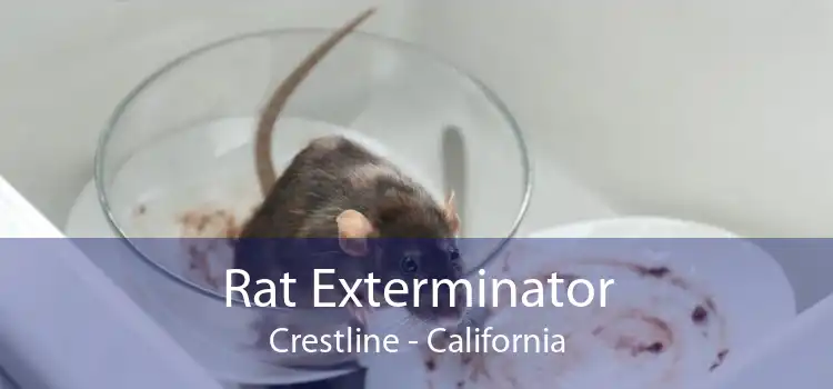 Rat Exterminator Crestline - California