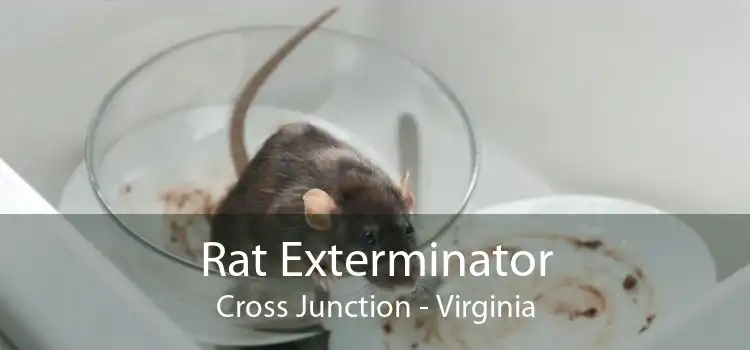 Rat Exterminator Cross Junction - Virginia