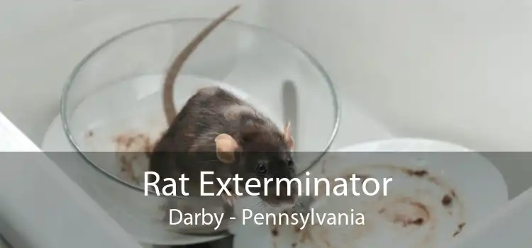 Rat Exterminator Darby - Pennsylvania