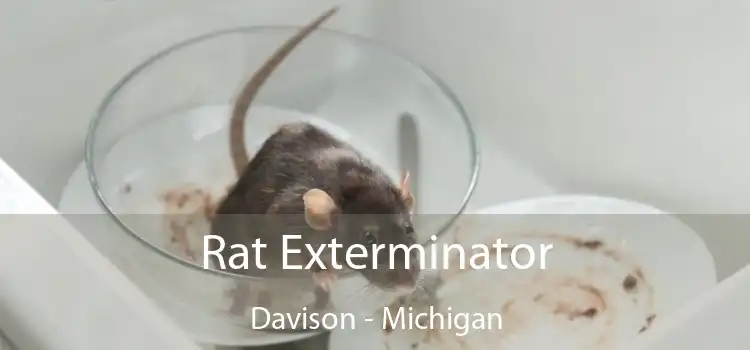 Rat Exterminator Davison - Michigan