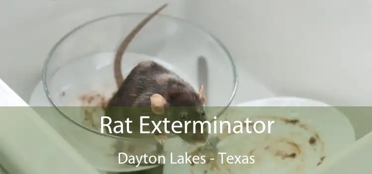 Rat Exterminator Dayton Lakes - Texas