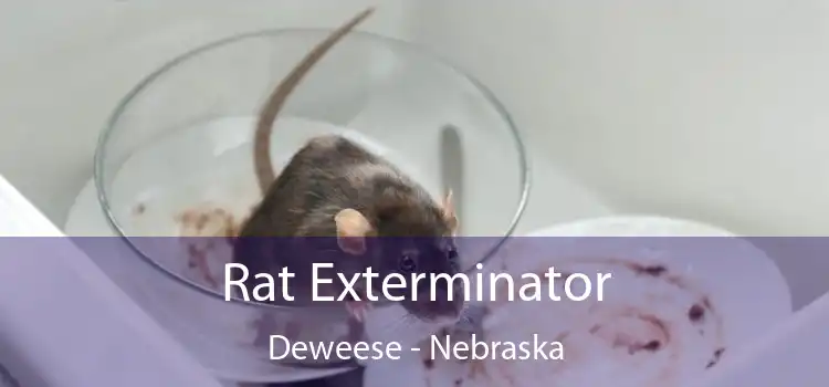 Rat Exterminator Deweese - Nebraska