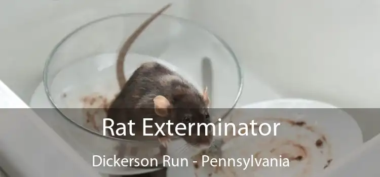 Rat Exterminator Dickerson Run - Pennsylvania