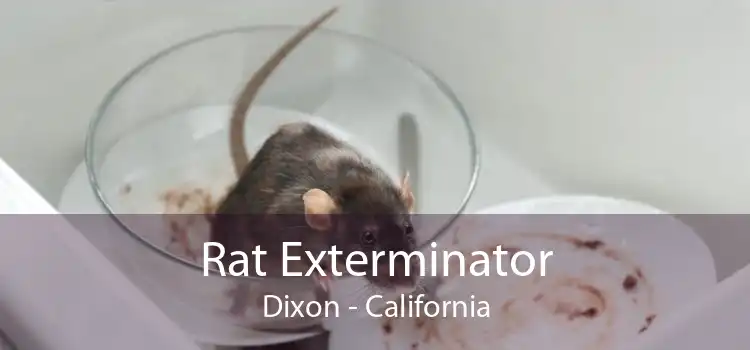 Rat Exterminator Dixon - California