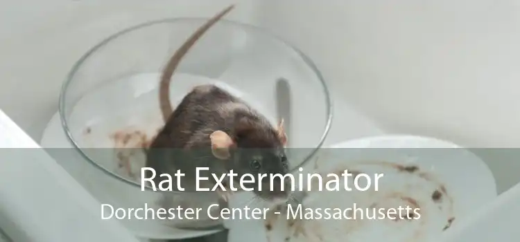 Rat Exterminator Dorchester Center - Massachusetts