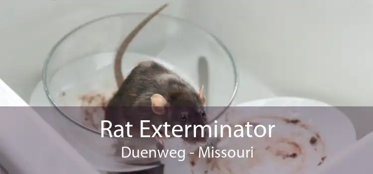 Rat Exterminator Duenweg - Missouri