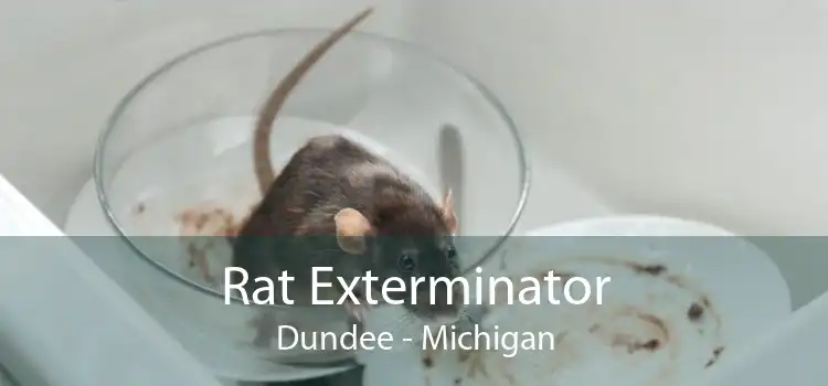 Rat Exterminator Dundee - Michigan
