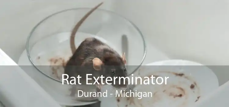 Rat Exterminator Durand - Michigan