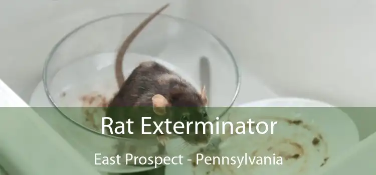 Rat Exterminator East Prospect - Pennsylvania