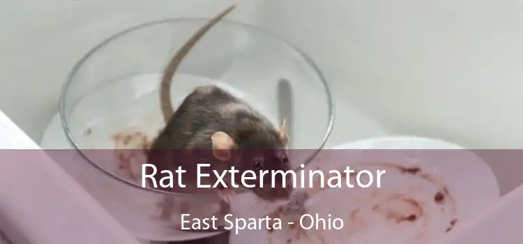 Rat Exterminator East Sparta - Ohio