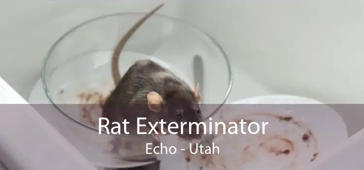 Rat Exterminator Echo - Utah