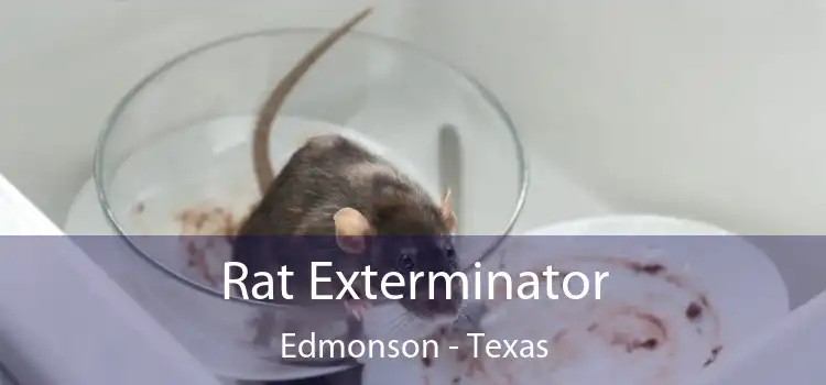 Rat Exterminator Edmonson - Texas