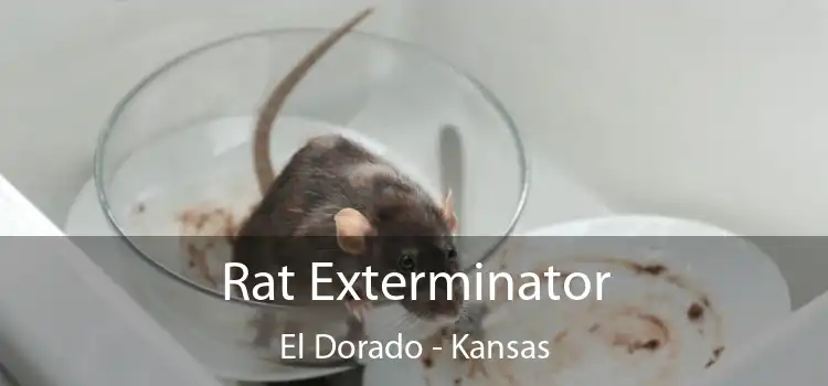 Rat Exterminator El Dorado - Kansas