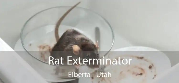 Rat Exterminator Elberta - Utah