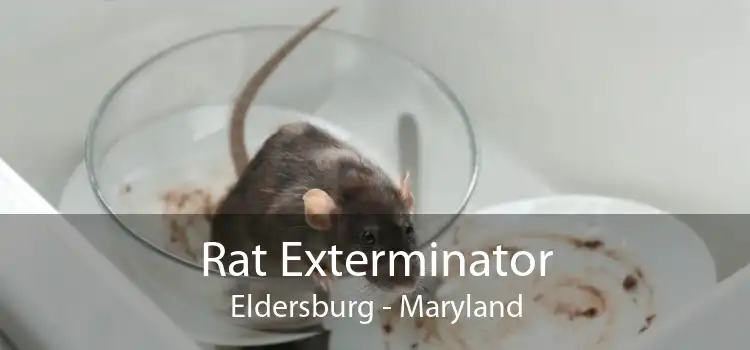 Rat Exterminator Eldersburg - Maryland