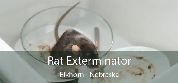 Rat Exterminator Elkhorn - Nebraska