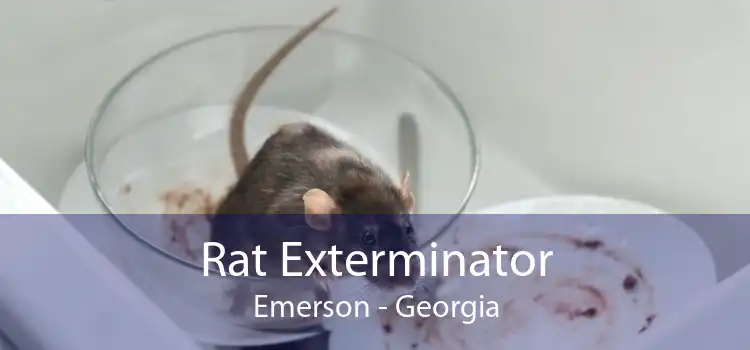 Rat Exterminator Emerson - Georgia