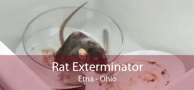 Rat Exterminator Etna - Ohio