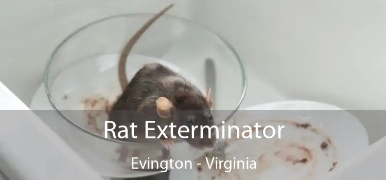 Rat Exterminator Evington - Virginia