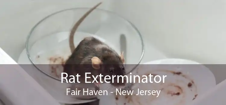 Rat Exterminator Fair Haven - New Jersey