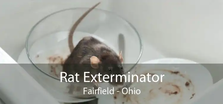 Rat Exterminator Fairfield - Ohio