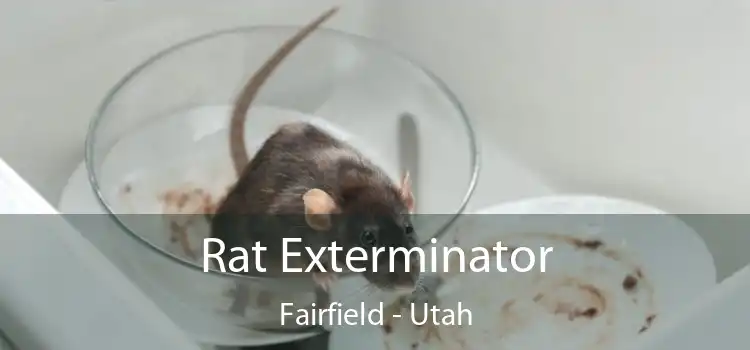 Rat Exterminator Fairfield - Utah