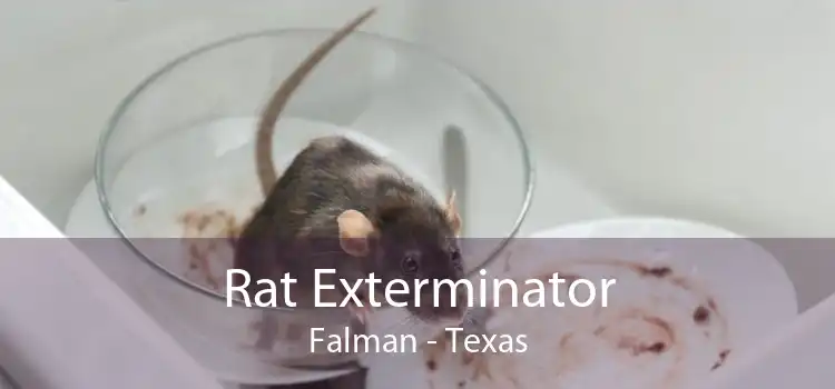 Rat Exterminator Falman - Texas