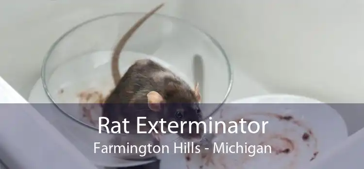 Rat Exterminator Farmington Hills - Michigan