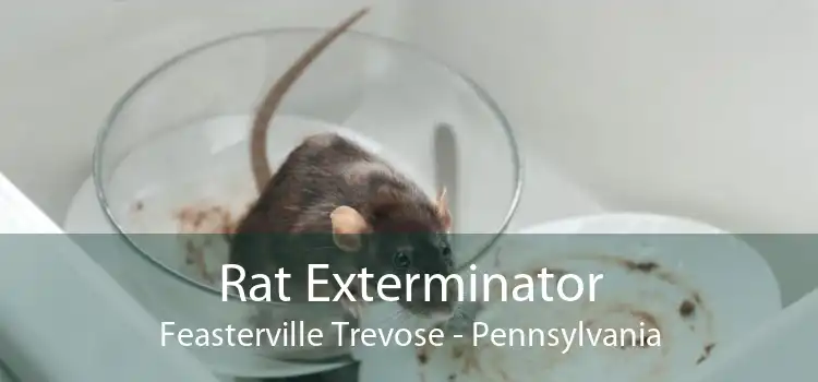 Rat Exterminator Feasterville Trevose - Pennsylvania