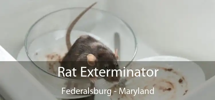 Rat Exterminator Federalsburg - Maryland