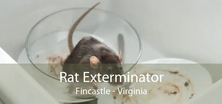 Rat Exterminator Fincastle - Virginia
