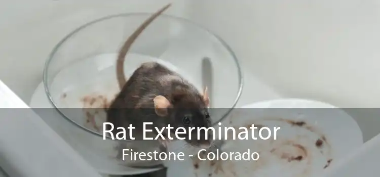 Rat Exterminator Firestone - Colorado